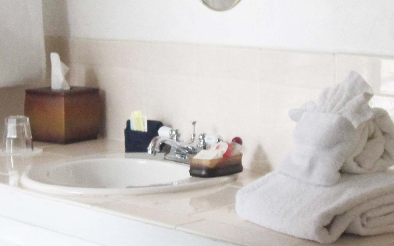 Bathroom Sink and Counter
