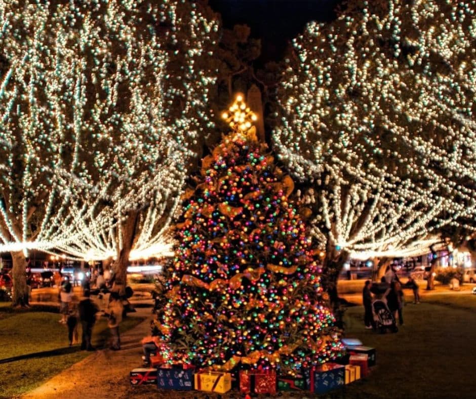 A colorful Christmas tree adorned with lights and surrounded by wrapped gifts, set against a backdrop of twinkling tree lights.
