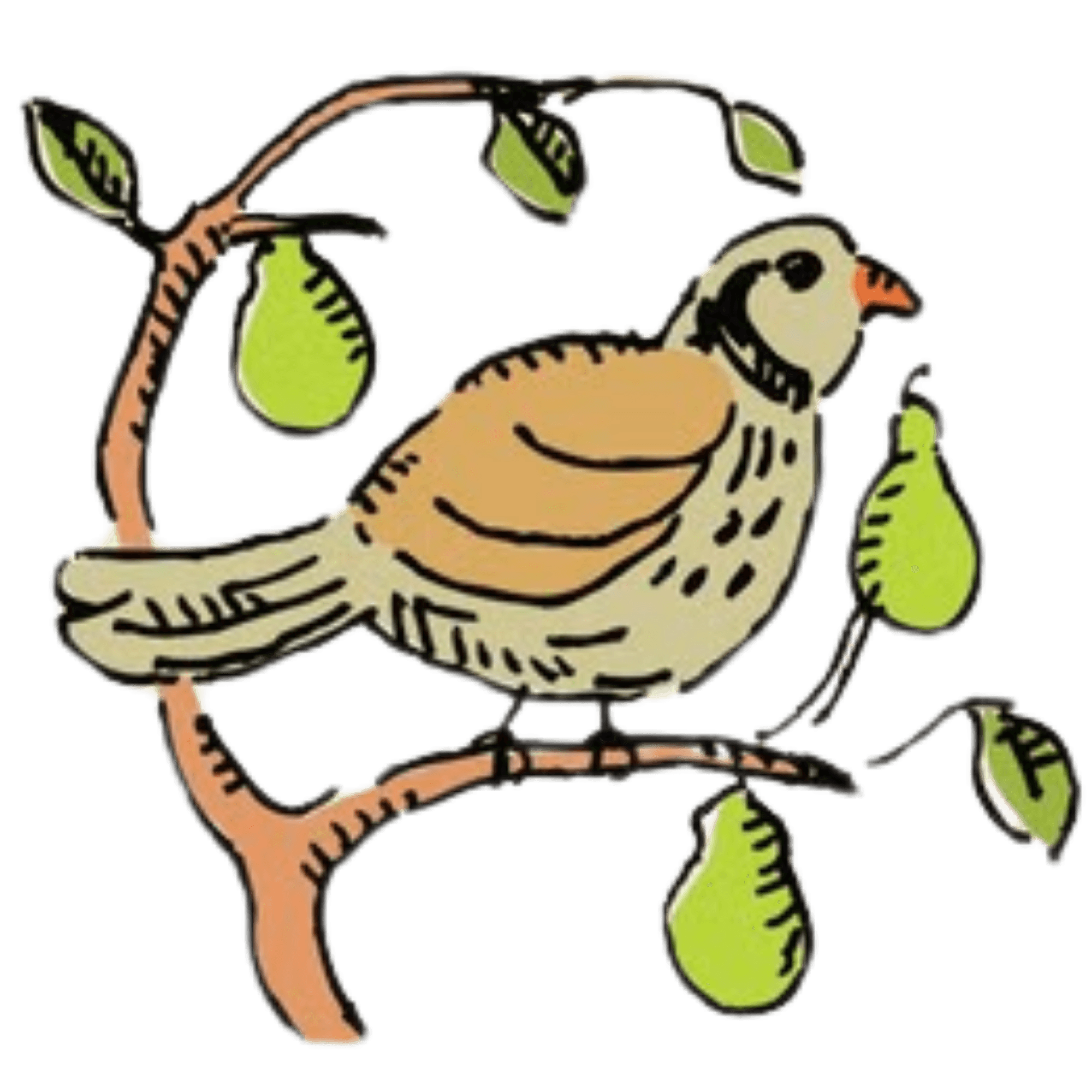 A stylized bird perched on a branch with green leaves and pear-like fruits.