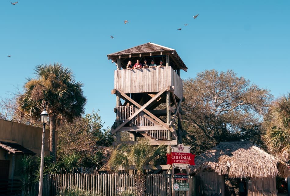 Tall wooden tower with people looking out from the top surrounded by palm trees and other trees