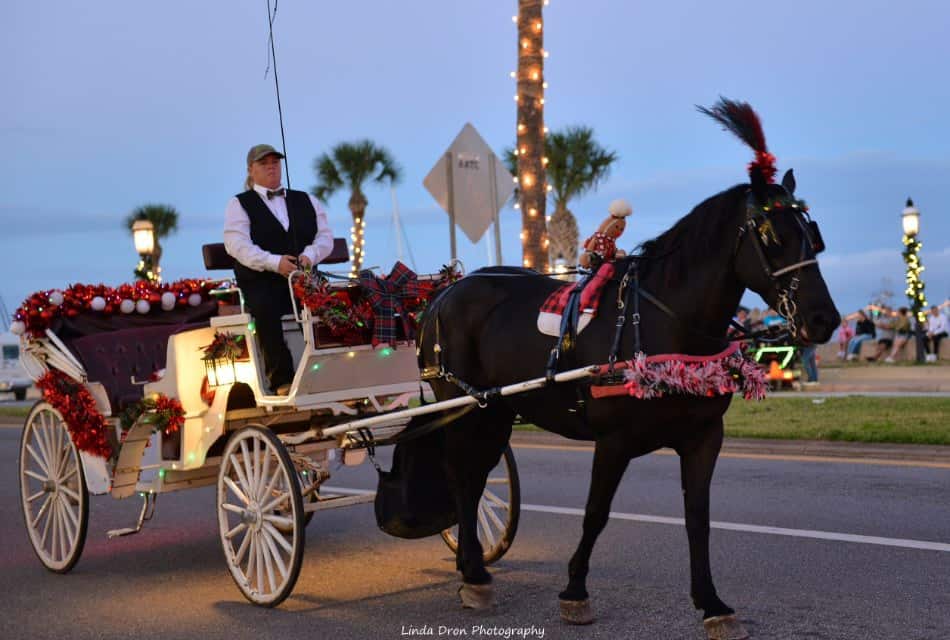 Black horse pulling a white carriage